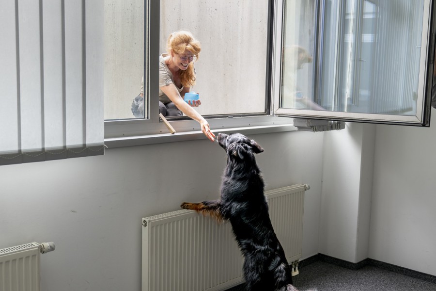 _Bild_7.jpg